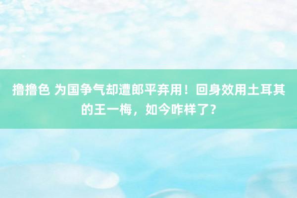 撸撸色 为国争气却遭郎平弃用！回身效用土耳其的王一梅，如今咋样了？