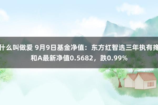 什么叫做爱 9月9日基金净值：东方红智选三年执有搀和A最新净值0.5682，跌0.99%