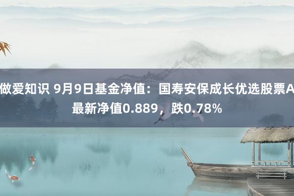 做爱知识 9月9日基金净值：国寿安保成长优选股票A最新净值0.889，跌0.78%