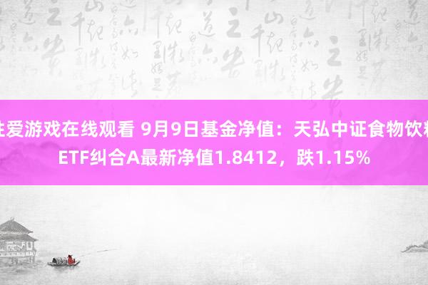 性爱游戏在线观看 9月9日基金净值：天弘中证食物饮料ETF纠合A最新净值1.8412，跌1.15%