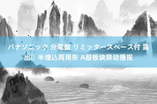 パナソニック 分電盤 リミッタースペース付 露出・半埋込両用形 A股板块异动播报