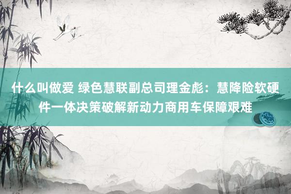 什么叫做爱 绿色慧联副总司理金彪：慧降险软硬件一体决策破解新动力商用车保障艰难