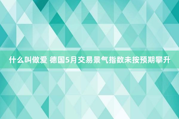 什么叫做爱 德国5月交易景气指数未按预期攀升