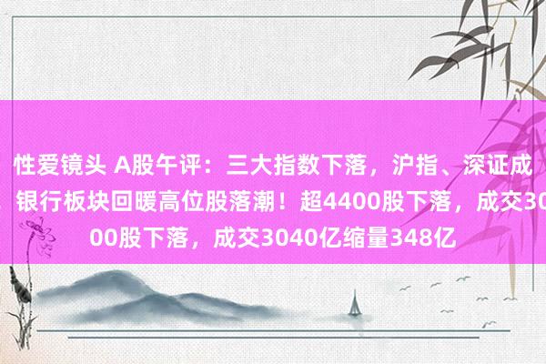 性爱镜头 A股午评：三大指数下落，沪指、深证成指再创养息新低！银行板块回暖高位股落潮！超4400股下落，成交3040亿缩量348亿