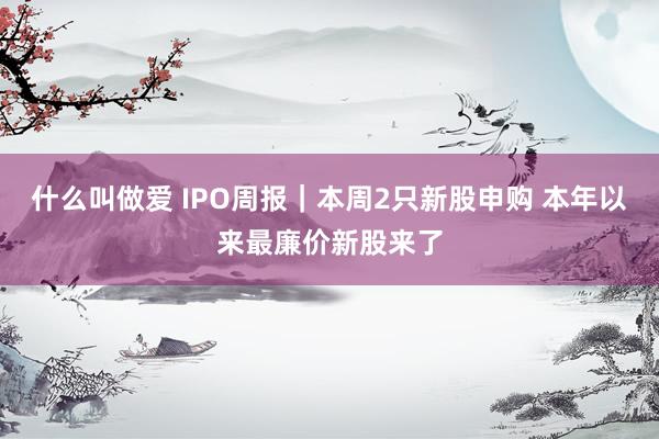 什么叫做爱 IPO周报｜本周2只新股申购 本年以来最廉价新股来了