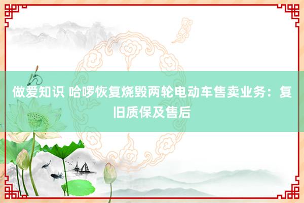 做爱知识 哈啰恢复烧毁两轮电动车售卖业务：复旧质保及售后