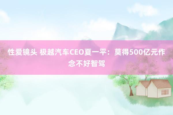 性爱镜头 极越汽车CEO夏一平：莫得500亿元作念不好智驾