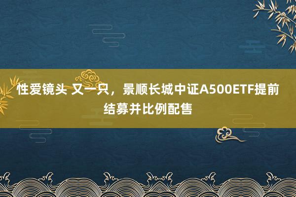 性爱镜头 又一只，景顺长城中证A500ETF提前结募并比例配售