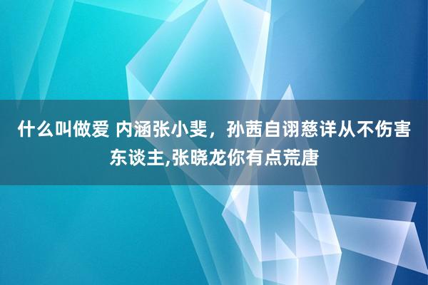 什么叫做爱 内涵张小斐，孙茜自诩慈详从不伤害东谈主，张晓龙你有点荒唐