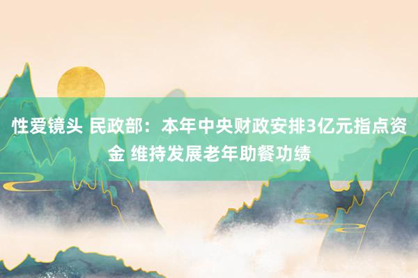 性爱镜头 民政部：本年中央财政安排3亿元指点资金 维持发展老年助餐功绩