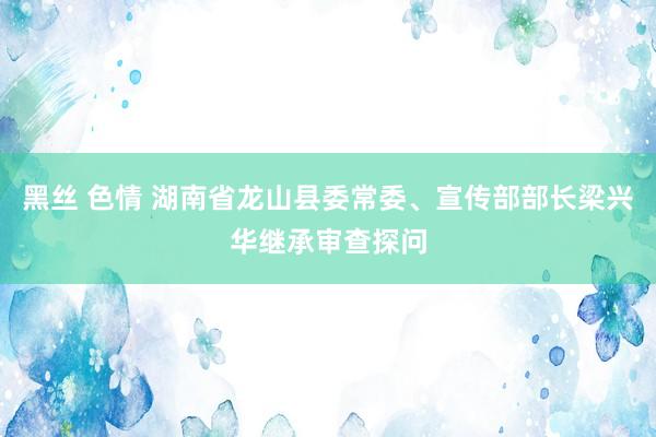 黑丝 色情 湖南省龙山县委常委、宣传部部长梁兴华继承审查探问