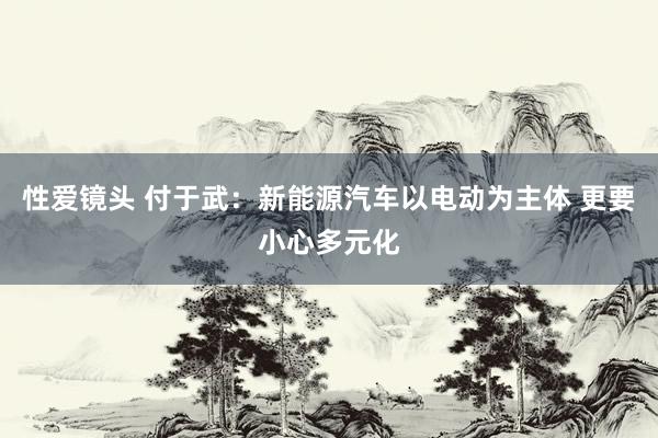 性爱镜头 付于武：新能源汽车以电动为主体 更要小心多元化