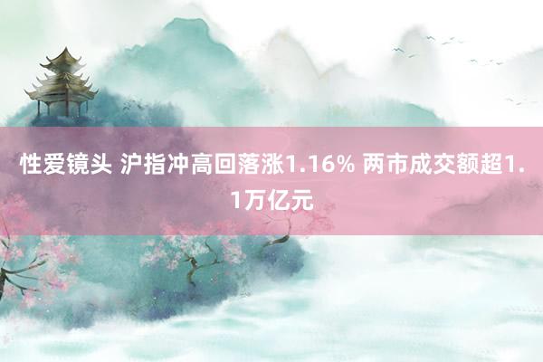 性爱镜头 沪指冲高回落涨1.16% 两市成交额超1.1万亿元