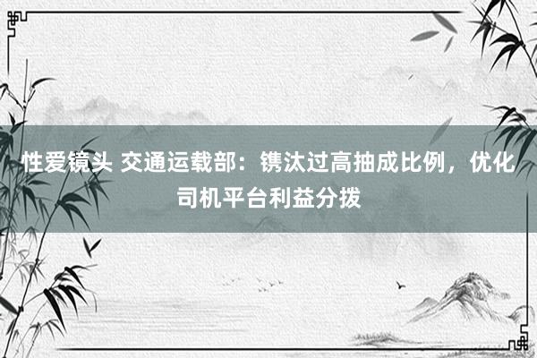 性爱镜头 交通运载部：镌汰过高抽成比例，优化司机平台利益分拨