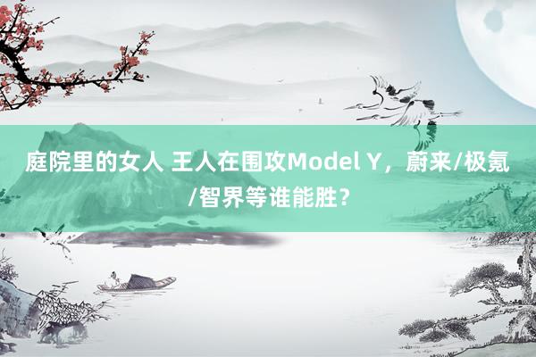 庭院里的女人 王人在围攻Model Y，蔚来/极氪/智界等谁能胜？