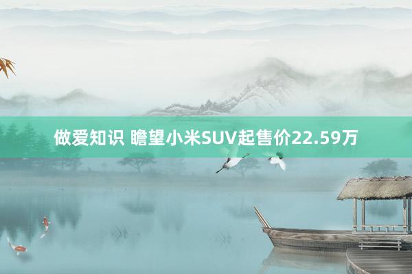 做爱知识 瞻望小米SUV起售价22.59万