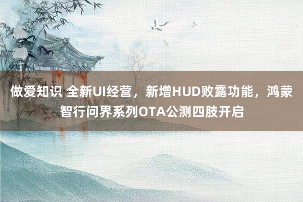 做爱知识 全新UI经营，新增HUD败露功能，鸿蒙智行问界系列OTA公测四肢开启