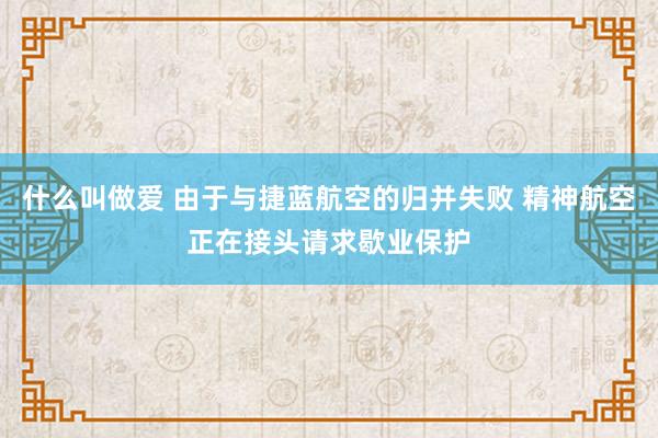 什么叫做爱 由于与捷蓝航空的归并失败 精神航空正在接头请求歇业保护