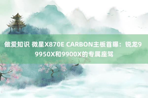 做爱知识 微星X870E CARBON主板首曝：锐龙9 9950X和9900X的专属座驾