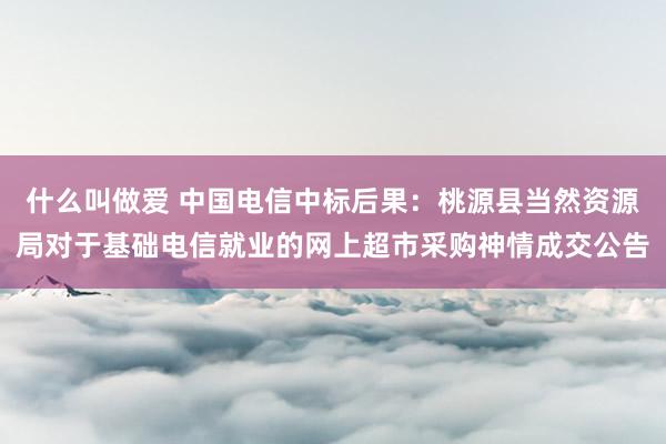 什么叫做爱 中国电信中标后果：桃源县当然资源局对于基础电信就业的网上超市采购神情成交公告