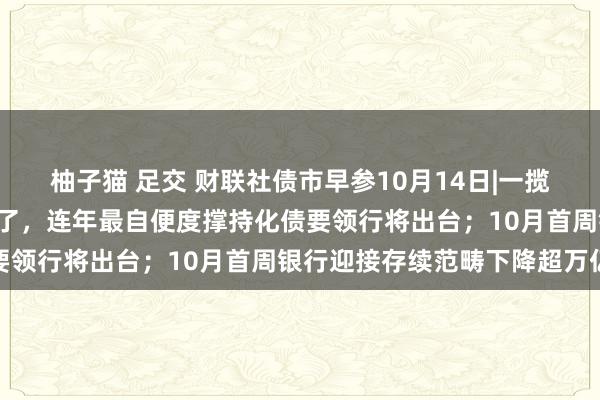 柚子猫 足交 财联社债市早参10月14日|一揽子财政战略“组合拳”来了，连年最自便度撑持化债要领行将出台；10月首周银行迎接存续范畴下降超万亿