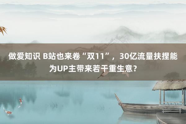 做爱知识 B站也来卷“双11”，30亿流量扶捏能为UP主带来若干重生意？