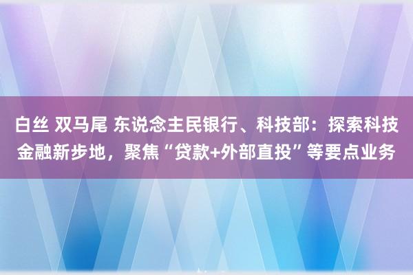 白丝 双马尾 东说念主民银行、科技部：探索科技金融新步地，聚焦“贷款+外部直投”等要点业务