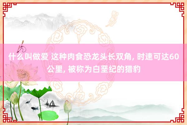 什么叫做爱 这种肉食恐龙头长双角， 时速可达60公里， 被称为白垩纪的猎豹