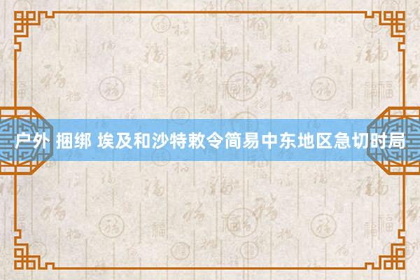 户外 捆绑 埃及和沙特敕令简易中东地区急切时局