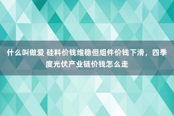 什么叫做爱 硅料价钱维稳但组件价钱下滑，四季度光伏产业链价钱怎么走