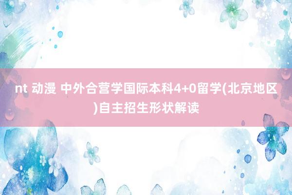 nt 动漫 中外合营学国际本科4+0留学(北京地区)自主招生形状解读