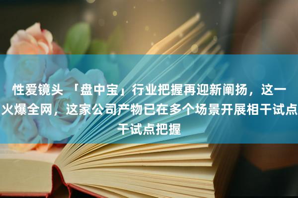 性爱镜头 「盘中宝」行业把握再迎新阐扬，这一产物火爆全网，这家公司产物已在多个场景开展相干试点把握