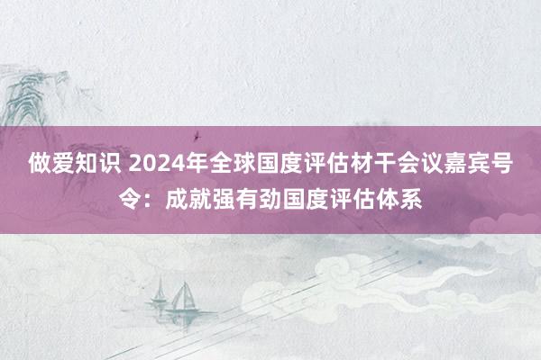 做爱知识 2024年全球国度评估材干会议嘉宾号令：成就强有劲国度评估体系