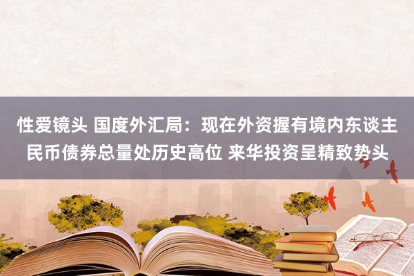 性爱镜头 国度外汇局：现在外资握有境内东谈主民币债券总量处历史高位 来华投资呈精致势头