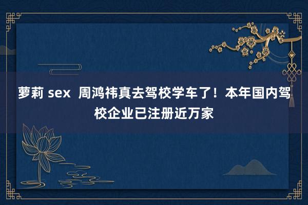 萝莉 sex  周鸿祎真去驾校学车了！本年国内驾校企业已注册近万家