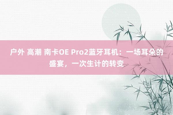 户外 高潮 南卡OE Pro2蓝牙耳机：一场耳朵的盛宴，一次生计的转变