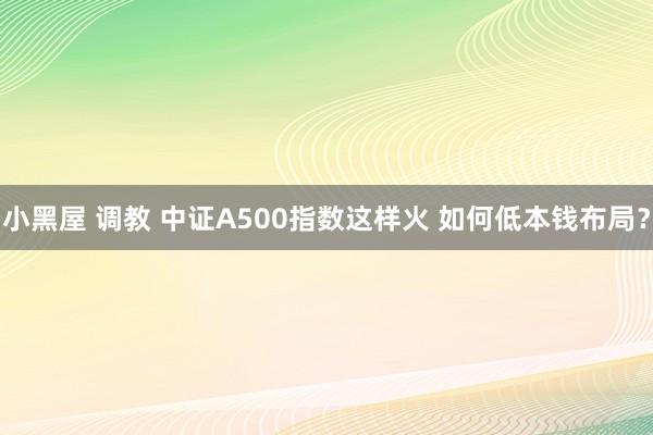 小黑屋 调教 中证A500指数这样火 如何低本钱布局？