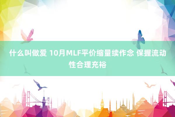 什么叫做爱 10月MLF平价缩量续作念 保握流动性合理充裕