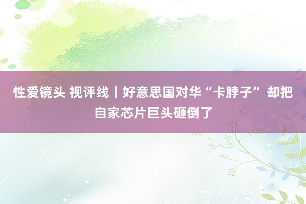 性爱镜头 视评线丨好意思国对华“卡脖子” 却把自家芯片巨头砸倒了