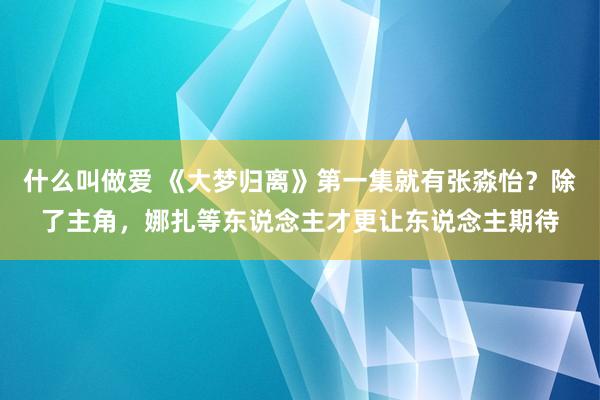 什么叫做爱 《大梦归离》第一集就有张淼怡？除了主角，娜扎等东说念主才更让东说念主期待