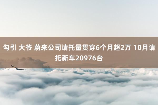 勾引 大爷 蔚来公司请托量贯穿6个月超2万 10月请托新车20976台