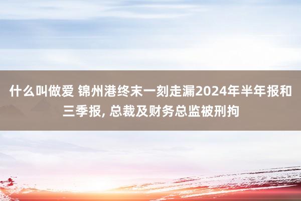 什么叫做爱 锦州港终末一刻走漏2024年半年报和三季报， 总裁及财务总监被刑拘