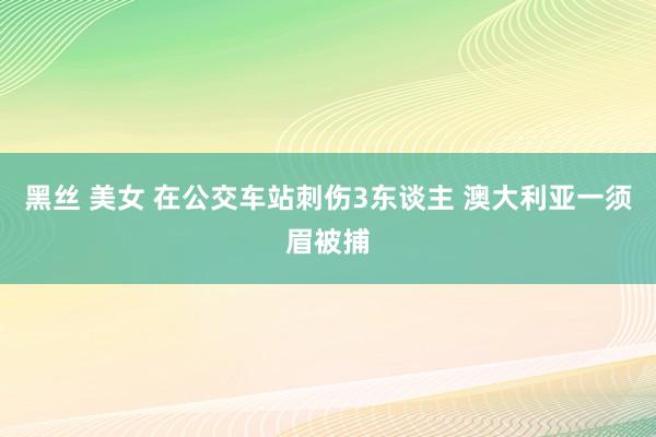 黑丝 美女 在公交车站刺伤3东谈主 澳大利亚一须眉被捕