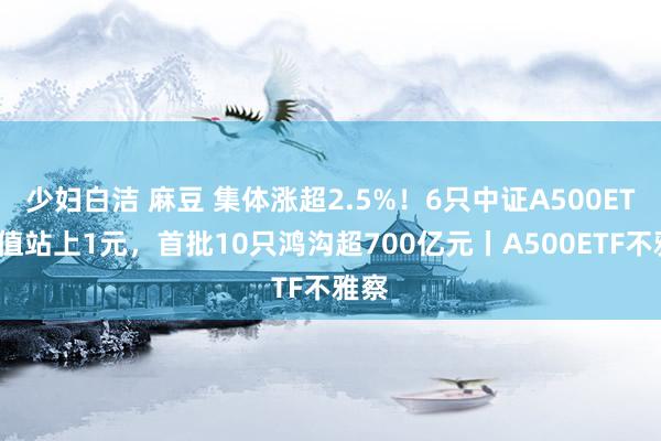 少妇白洁 麻豆 集体涨超2.5%！6只中证A500ETF估值站上1元，首批10只鸿沟超700亿元丨A500ETF不雅察