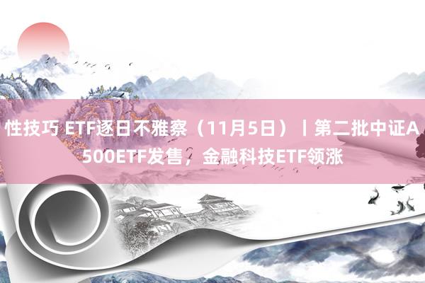 性技巧 ETF逐日不雅察（11月5日）丨第二批中证A500ETF发售，金融科技ETF领涨