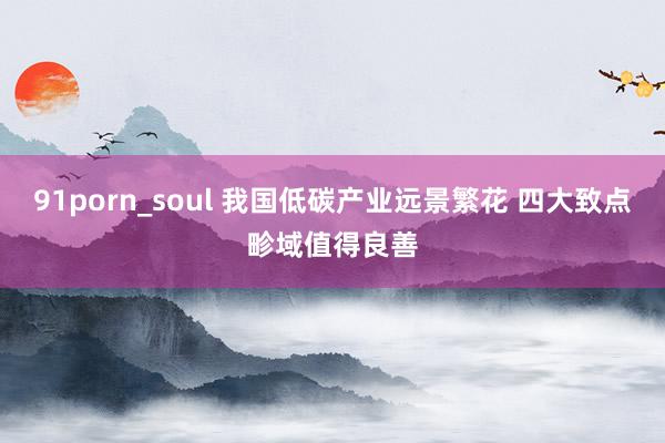 91porn_soul 我国低碳产业远景繁花 四大致点畛域值得良善