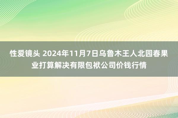 性爱镜头 2024年11月7日乌鲁木王人北园春果业打算解决有限包袱公司价钱行情