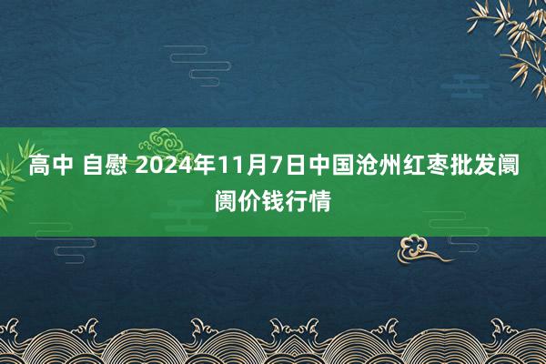 高中 自慰 2024年11月7日中国沧州红枣批发阛阓价钱行情