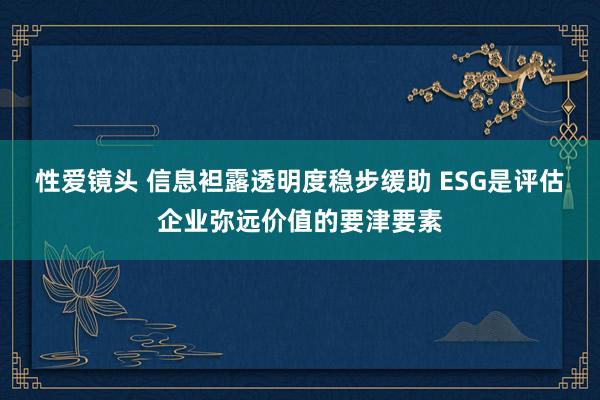 性爱镜头 信息袒露透明度稳步缓助 ESG是评估企业弥远价值的要津要素