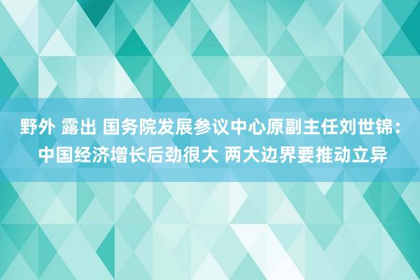 野外 露出 国务院发展参议中心原副主任刘世锦： 中国经济增长后劲很大 两大边界要推动立异